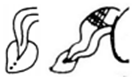 A black and white drawing of a light bulb and a paintbrush  Description automatically generated